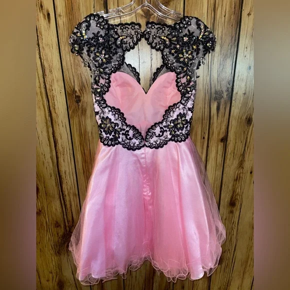 Tony Bowls Pink Tulle Beaded Lace Prom Dress Size 0 Sweet 16 & Special Occasion - Picture 4 of 7